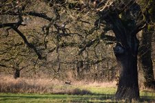 DSC_0261.JPG
