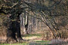 DSC_0269.JPG