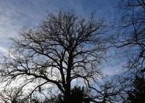 DSC_0147.JPG