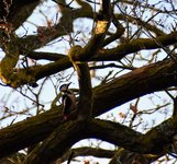 DSC_0166.JPG