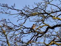 DSC_0126-EDIT.jpg
