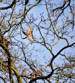 DSC_0115-EDIT.jpg