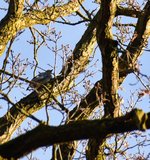DSC_0131.JPG
