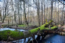 DSC_0316-EDIT.jpg