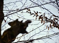 DSC_0229.JPG