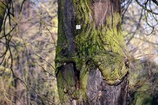 DSC_0078.JPG