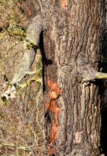 DSC_0053-EDIT.jpg
