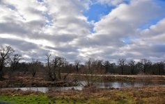 DSC_0241-EDIT.jpg