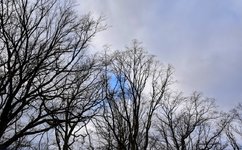 DSC_0106-EDIT.jpg