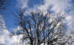 DSC_0150.JPG