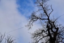DSC_0186-EDIT.jpg