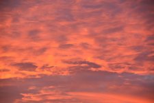 DSC_0010.JPG