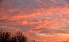 DSC_0021.JPG