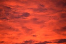 DSC_0030.JPG
