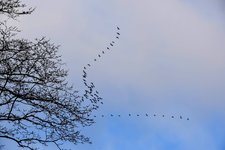 DSC_0196-EDIT.jpg