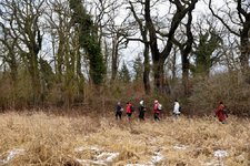 DSC_0116.JPG