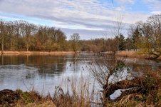 DSC_0093-EDIT.jpg