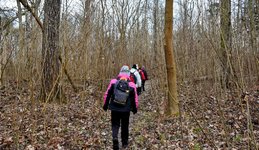 DSC_0123-EDIT.jpg