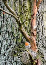 DSC_0156-EDIT.jpg