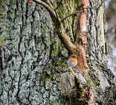 DSC_0167-EDIT.jpg