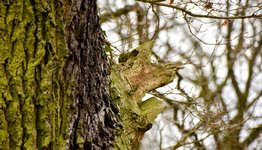 DSC_0065-EDIT.jpg