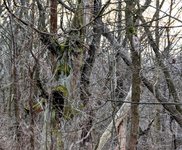 DSC_0141-EDIT.jpg