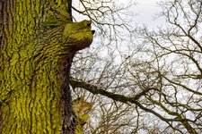 DSC_0070-EDIT-EDIT.jpg