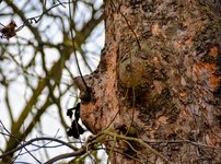 DSC_0078-EDIT.jpg