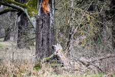 DSC_0097-EDIT.jpg