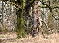 DSC_0115-EDIT.jpg