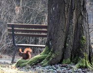 DSC_0131-EDIT.jpg