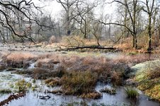 DSC_0088-EDIT.jpg