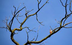 DSC_0166-EDIT.jpg