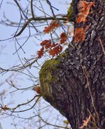 DSC_0096-EDIT.jpg