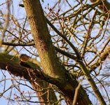 DSC_0067-EDIT.jpg