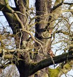DSC_0191-EDIT.jpg