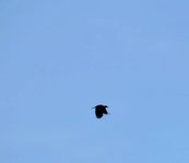 DSC_0174-EDIT.jpg