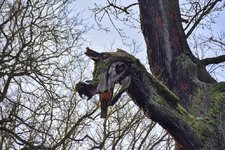 DSC_0169-EDIT.jpg