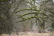 DSC_0010.JPG