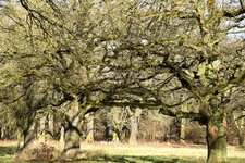 DSC_0199.JPG