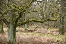 DSC_0027.JPG