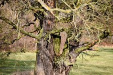 DSC_0040-EDIT.jpg