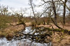 DSC_0139-EDIT.jpg