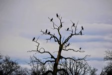DSC_0129-EDIT-EDIT.jpg