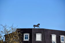 DSC_0239-EDIT.jpg
