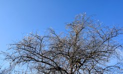 DSC_0267-EDIT.jpg