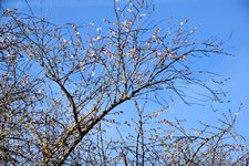DSC_0277-EDIT.jpg