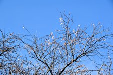 DSC_0270-EDIT.jpg