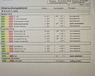 IMG_20250212_151150.jpg