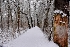 DSC_0091-EDIT.jpg